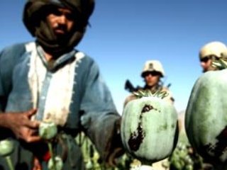 Имена пятидесяти афганских наркобаронов внесены в составленный американскими военными список афганских террористов, которые должны быть пойманы или уничтожены