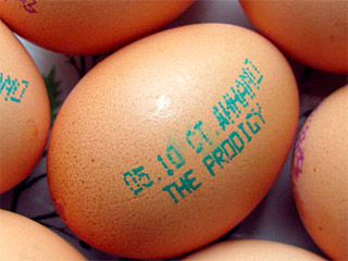 Минский концерт группы The Prodigy разрекламировали с помощью куриных яиц
