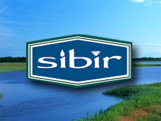 Совет директоров британской Sibir Energy изменился и по составу, и по количеству. Теперь в него входят не четыре, а пять человек