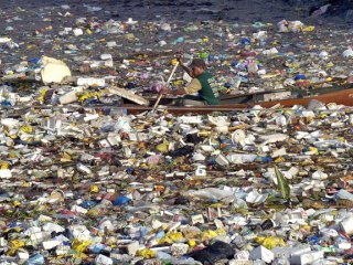 Опасения многих ученых и экологов, что изделия из пластмассы, составляющие значительную часть выбрасываемого человеком мусора, будут разлагаться тысячелетиями, оказались отчасти ложными