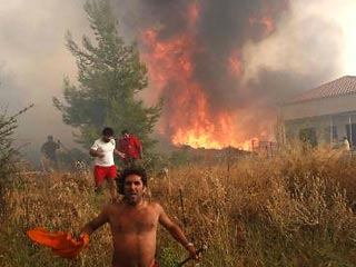 Крупный лесной пожар подбирается к Афинам: объявлено чрезвычайное положение