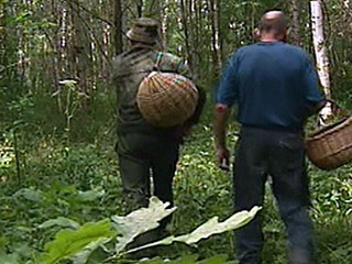 Житель Краснодарского края нашел в лесу гигантский гриб весом почти 11 килограммов