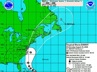 Тропический шторм "Дэнни", зародившийся несколько дней назад в Атлантическом океане, станет ураганом уже в ближайшую субботу