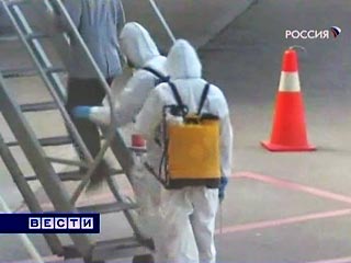 Число погибших во всем мире от вируса гриппа А (H1N1), известного как свиной грипп, составляет почти 3,3 тыс. человек, сообщает в субботу Роспотребнадзор