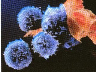 Ученые разработали метод блокировки проникновения вирусов ВИЧ в здоровые клетки с помощью синтетических молекул