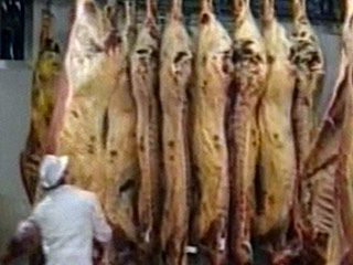 Россия планирует к 2012 году уменьшить долю импорта в мясных ресурсах на внутреннем рынке до 18%, сократив импорт мяса по сравнению с 2008 годом почти в два раза