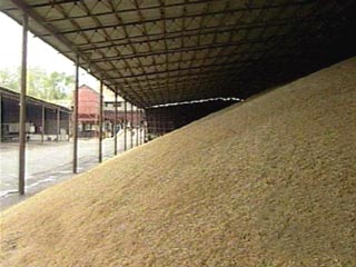 Зерно экспортируется из России со скидкой в 40%