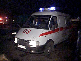 Пять человек, включая ребенка, погибли сегодня ночью в Омской области в результате лобового столкновения "Жигулей" с фурой