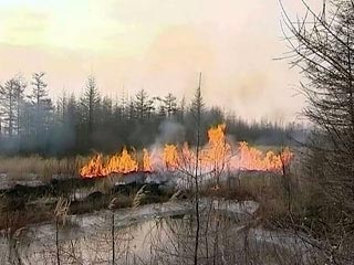 В Магаданской области горят 350 гектаров тундры