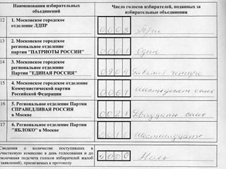 Голос лидера "Яблока" Сергея Митрохина, пропавший на одном из избирательных участков после выборов в Мосгордуму, нашелся при повторном пересчете
