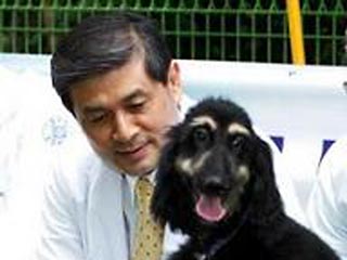 После того как У Сок Хван объявил, что ему удалось клонировать собаку, он стал практически национальным героем Южной Кореи. Новость о том, что результаты его исследований были сфабрикованы, потрясли всю страну
