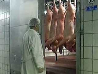 Белоруссия запретила ввозить свинину из России из-за африканской чумы