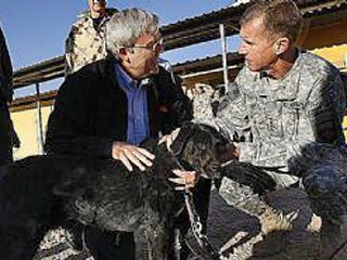 Собака австралийских саперов в Афганистане нашлась невредимой спустя год после пропажи во время боя