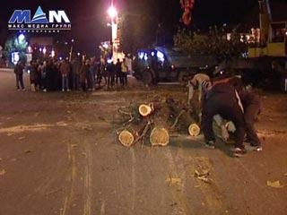 СМИ: в Сочи при подготовке к олимпийскому строительству вырубают реликтовые деревья