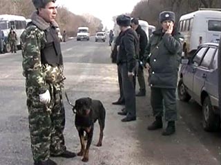 В Малгобекском районе Ингушетии в понедельник введен режим контртеррористической операции (КТО)