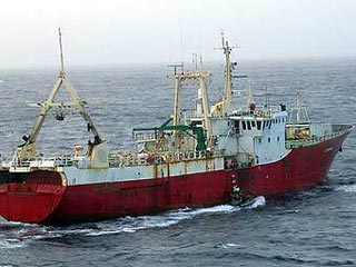 В районе Курильских островов капитан рыболовной шхуны "Китами мару" пытался скрыться от пограничников и затопить судно