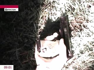 Один из убитых в Дагестане боевиков был действующим судебным приставом