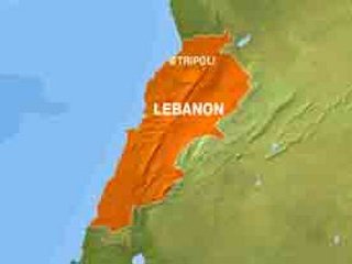В штормовую погоду у берегов Ливана, в 11 милях от порта Триполи, затонуло панамское судно, перевозившее 14 тысяч голов скота