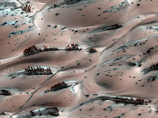 Специалисты NASA обнаружили на нескольких снимках поверхности Марса, сделанных камерой HiRISE, установленной на аппарате Mars Reconnaissance Orbiter, темные образования, напоминающие по форме деревья