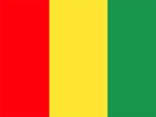 Правительство Гвинеи судится с "Русалом", требуя 860 млн долларов