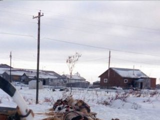 Жители одного из самых удаленных от столицы США населенных пунктов: эскимосской деревушки в штате Аляска стали "пионерами" начавшейся в Соединенных Штатах переписи населения