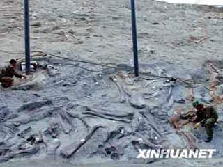 Более трех тысяч следов динозавров, живших около 100 миллионов лет назад, обнаружили палеонтологи в китайской провинции Шаньдун - ученые полагают, что животные бежали от внезапной опасности, сообщает в субботу агентство Синьхуа