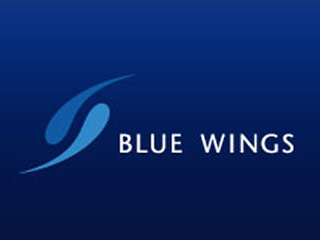 Немецкая авиакомпания Blue Wings, главным акционером которой является российский миллиардер Александр Лебедев, подала заявление о банкротстве