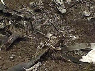 В Пермском крае в воскресенье упал частный самолет, пострадали два человека