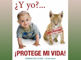 В Испании началась кампания против абортов. Она проходит под лозунгом "Вот моя жизнь!... Она в твоих руках"