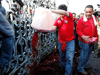 Таиландские демонстранты пролили 300 литров крови у здания правительства