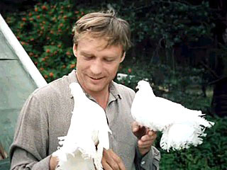 Кадр из фильма "Любовь и голуби" 