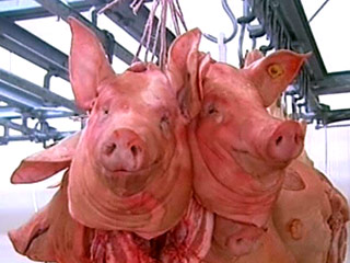 Россия может разрешить поставки свинины из США через одну - две недели