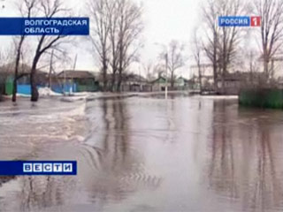В Волгоградской области в результате весеннего половодья в зоне подтопления находятся 20 населенных пунктов, в которых проживают более 3 тыс. человек, 235 из них дети