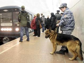 Эксперты о предложенных для метро приборах для поимки террористов: они путают взрывчатку с колбасой
