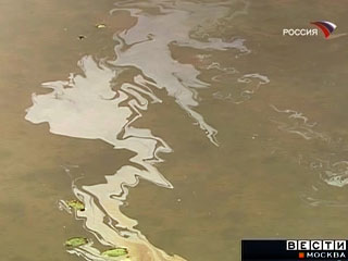 Примерно 20 км реки Юргамыш в Курганской области оказались загрязнены нефтепродуктами, который попали в реку через несанкционированную врезку в трубу нефтепровода