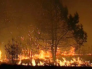 В Приморье и Приамурье за сутки ликвидированы 17 природных пожаров