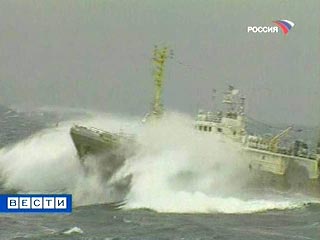 Восемь судов затонули во вторник в Желтом море в условиях штормового ветра и сильного волнения, передает ИТАР-ТАСС. Спасти удалось 29 членов экипажей, число пропавших без вести пока неизвестно