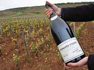 Во Франции преступник угрожал распылить яд над виноградниками, где произрастает сырье для самого дорогого вина в мире - Romanee Conti