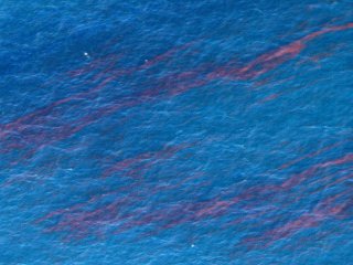 Большое нефтяное пятно, образовавшееся в результате аварии на буровой платформе, достигло главного течения Мексиканского залива и движется в сторону архипелага Florida Keys