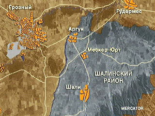 В Шалинском районе Чечни ночью уничтожены два боевика 
