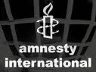 Международная правозащитная организация Amnesty International призывает все страны "двадцатки" признать юрисдикцию Международного уголовного суда