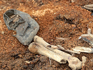 В Приморье найдено массовое захоронение - возможно, расстрелянных в 30-х годах