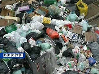 В России слишком много мусора, заявили на Госсовете