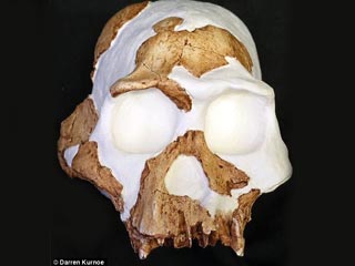 Ученые обнаружили останки представителя древнейшего человеческого вида - Homo gautengensis, который мог быть каннибалом