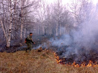 На Камчатке горят 540 гектаров леса