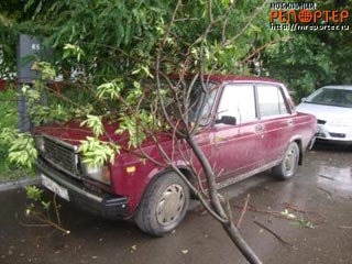 За прошедшие сутки шквалистый ветер повалил в Москве 719 деревьев