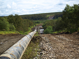 Болгария выходит из проекта строительства нефтепровода Бургас-Александруполис