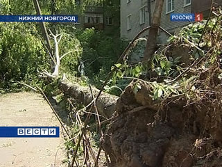 В Нижегородской области из-за грозы и ветра погибли двое мужчин