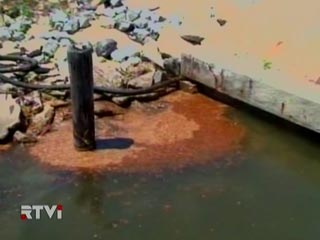 Экологические службы Египта проводят экстренные работы по ликвидации последствий утечки нефти в Красном море у побережья Хургады. Небольшое нефтяное пятно неизвестного происхождения было обнаружено в минувшую пятницу