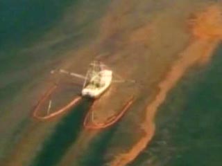Группа американских ученых из Университета Алабамы получила грант для проведения исследований по разработке метода очистки Мексиканского залива от огромного пятна, возникшего в результате разлива нефти